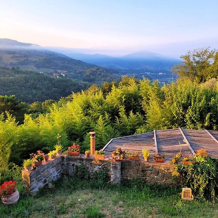 Serravalle Pistoiese Agriturismo I Pitti מראה חיצוני תמונה