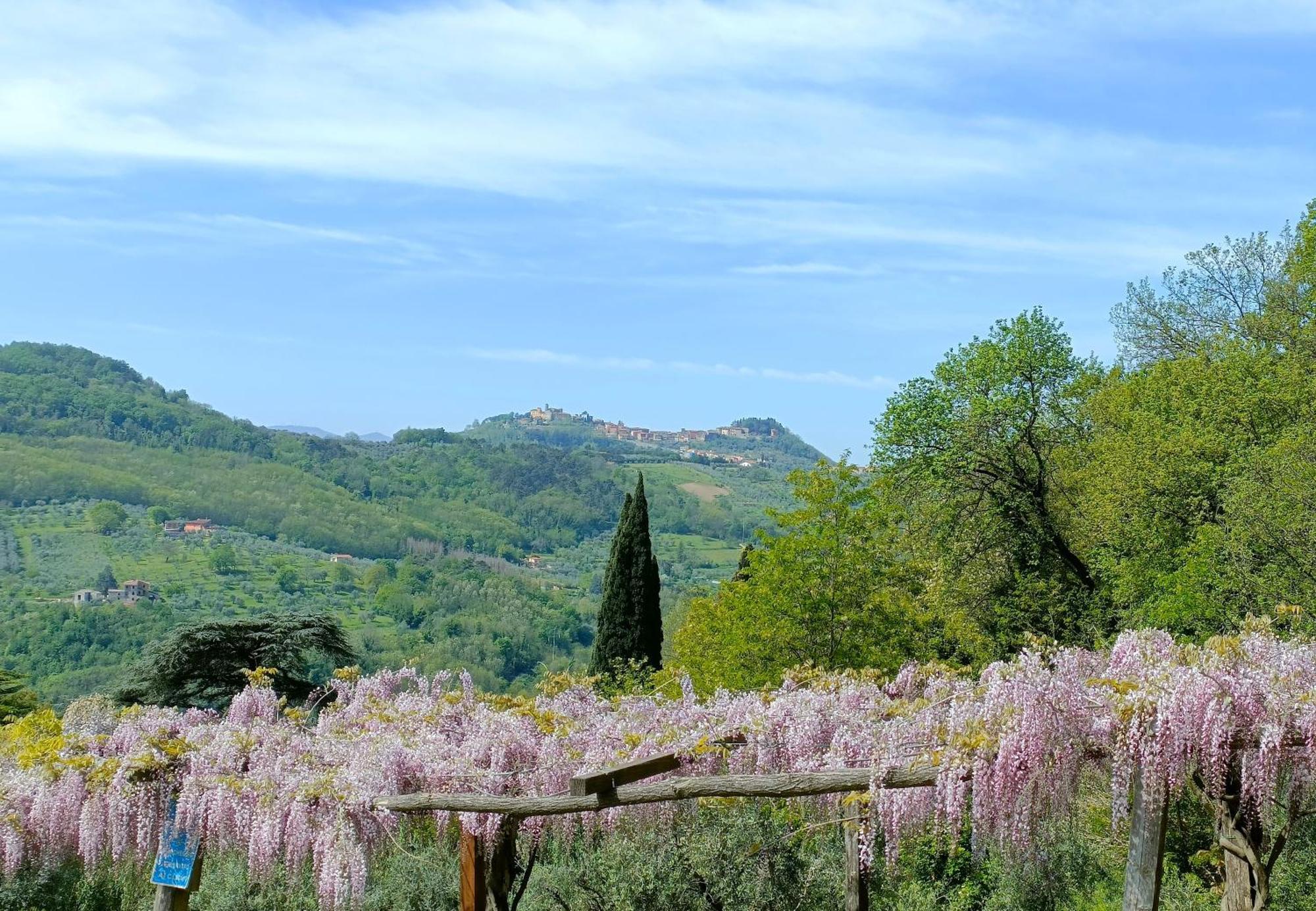 Serravalle Pistoiese Agriturismo I Pitti מראה חיצוני תמונה