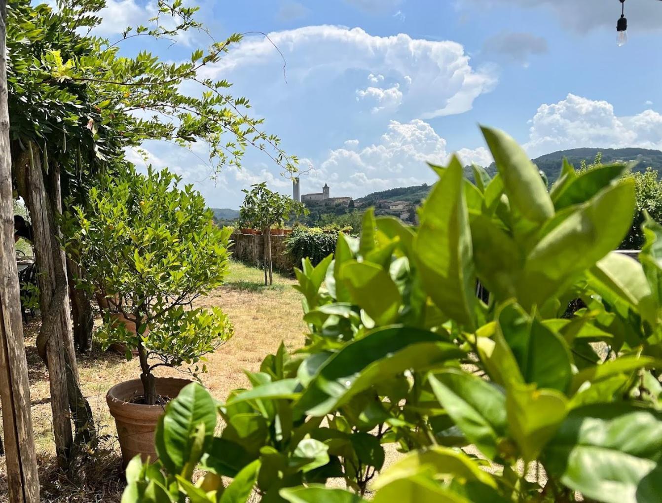 Serravalle Pistoiese Agriturismo I Pitti מראה חיצוני תמונה